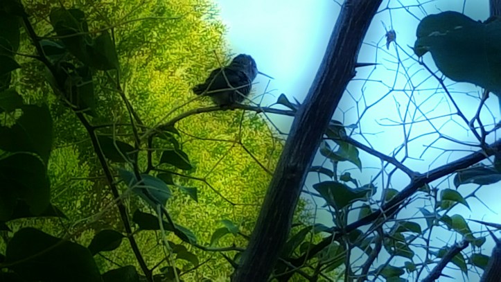 PicsArt_01-29-01.39.37.jpg image