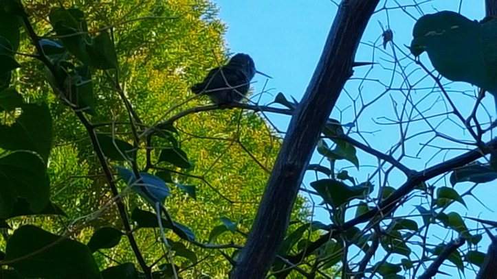 PicsArt_01-29-01.40.51.jpg image