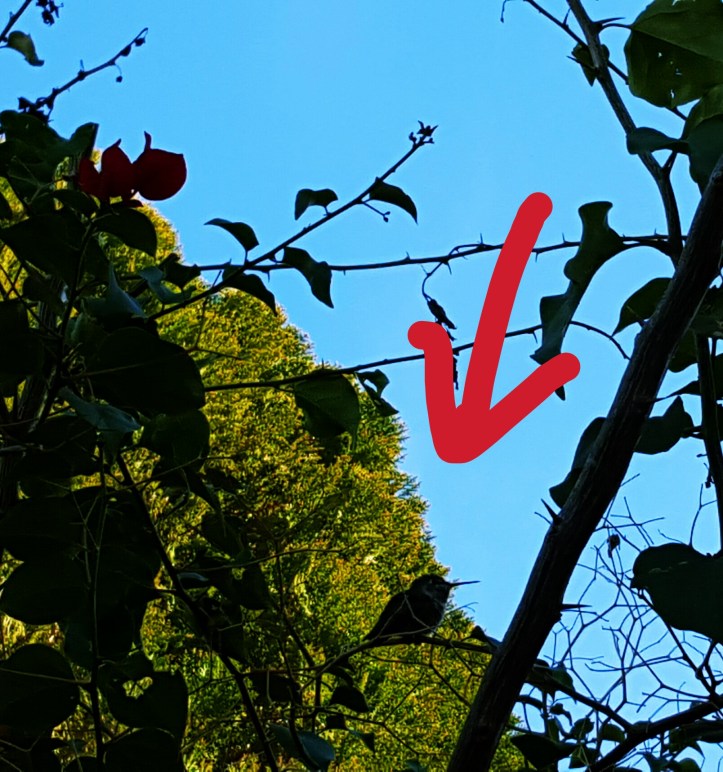 PicsArt_01-29-01.42.51.jpg image