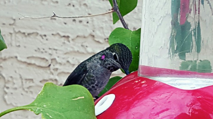 PicsArt_01-29-01.46.13.jpg image