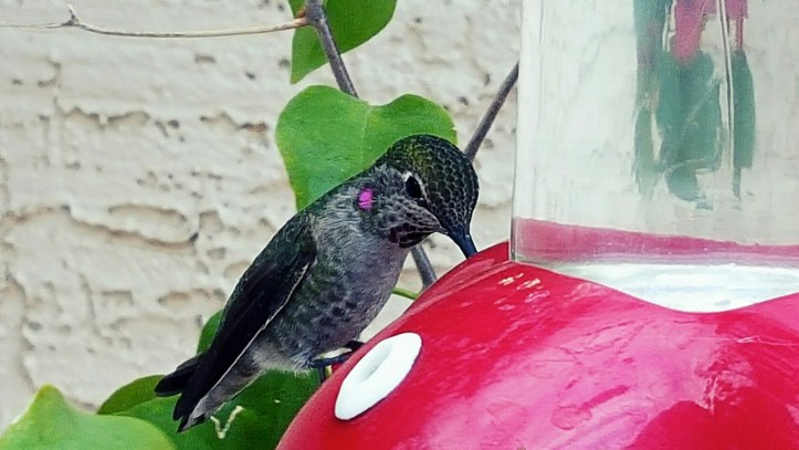 PicsArt_01-29-01.47.02.jpg image