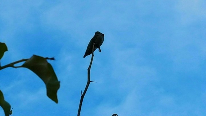 PicsArt_01-29-01.50.41.jpg image