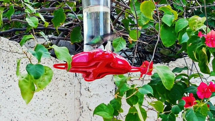 PicsArt_01-29-01.51.25.jpg image