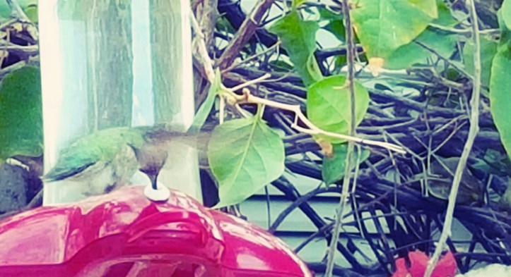 PicsArt_01-29-12.23.44.jpg image