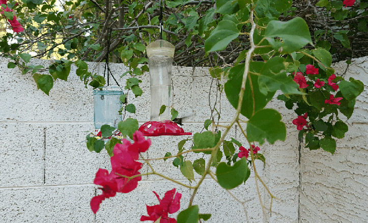 PicsArt_01-29-12.33.11.gif image