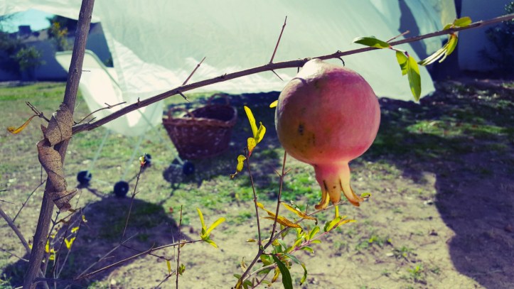 PicsArt_01-29-12.57.48.jpg image