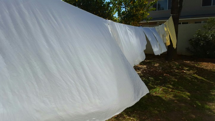 PicsArt_01-29-12.58.16.jpg image