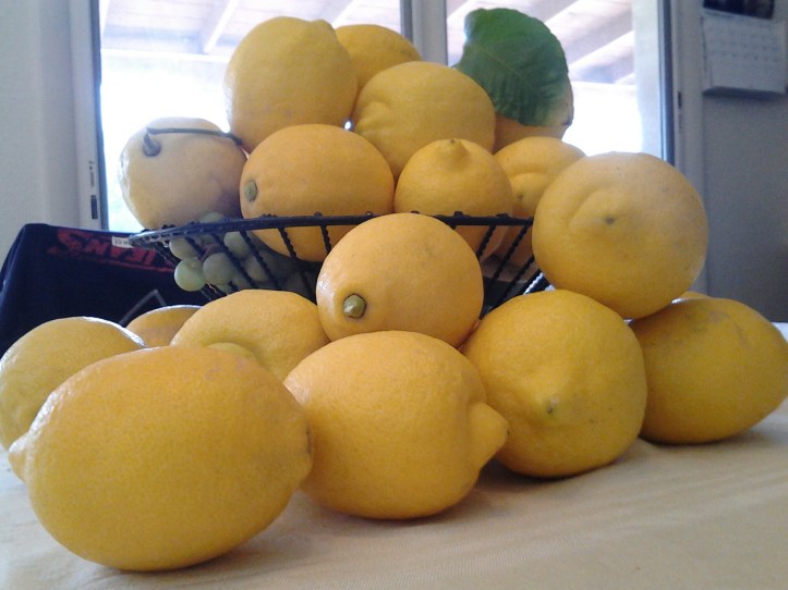 wpid-20150201_142421.jpg image