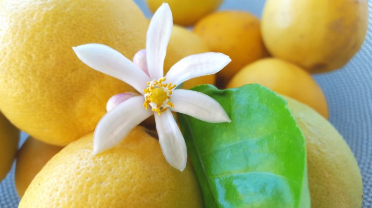 wpid-wp-1446426337801.jpg image