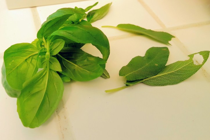 20160420_131722.jpg image