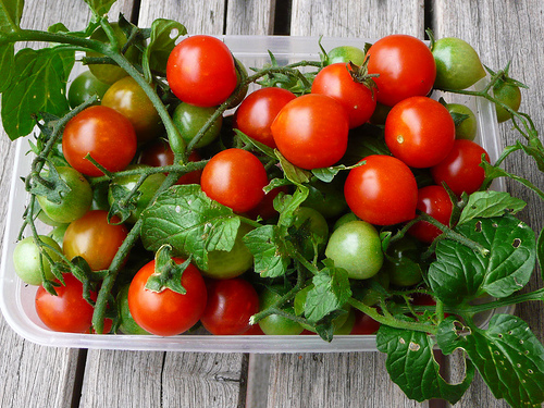 cherry-tomatoes2.jpg image
