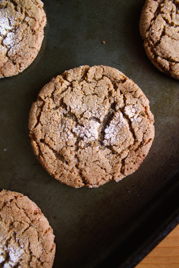 Ginger-Spice-Cookies-PoS-1.26-2.jpg image