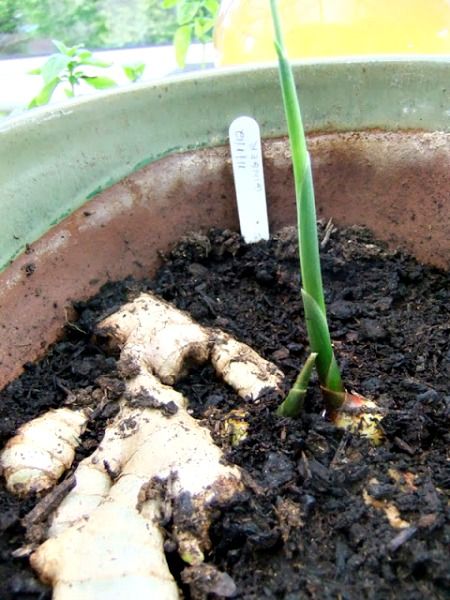 wp-1463004222770 image