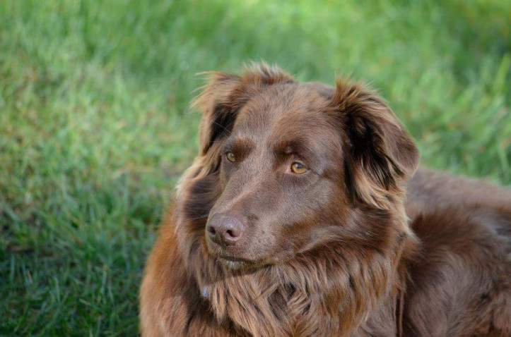 wp-1463006895305 image