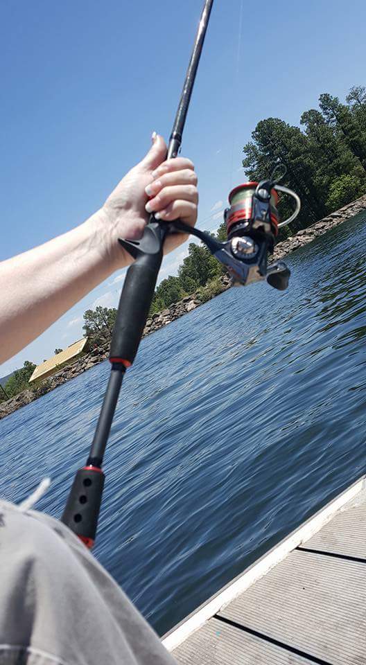 13322015_838071392964540_5272359621093183131_n