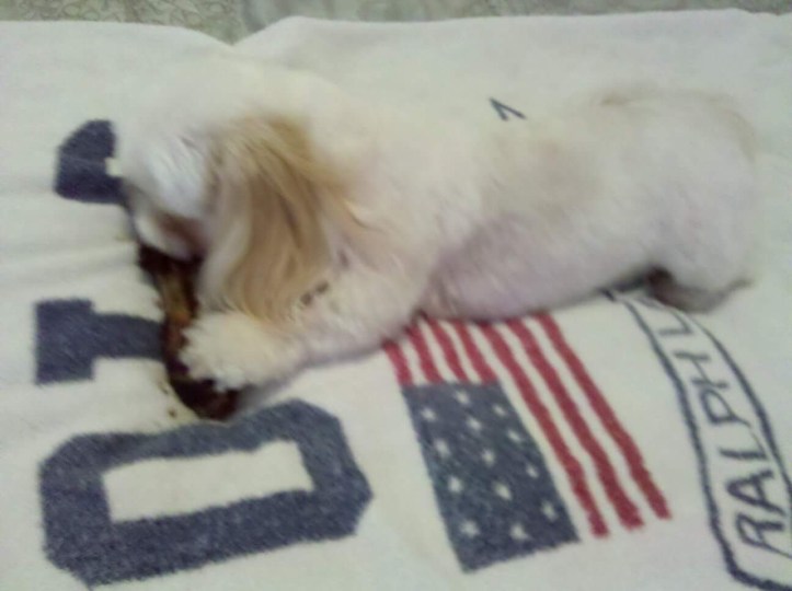 171021_489062068030_4241084_o