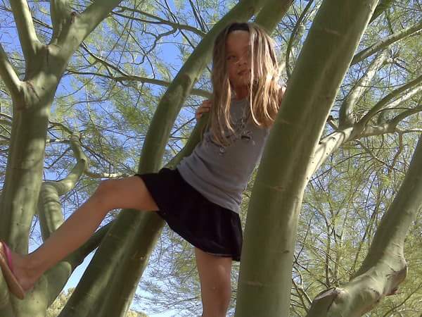 537090_10151335260203031_1144595337_n