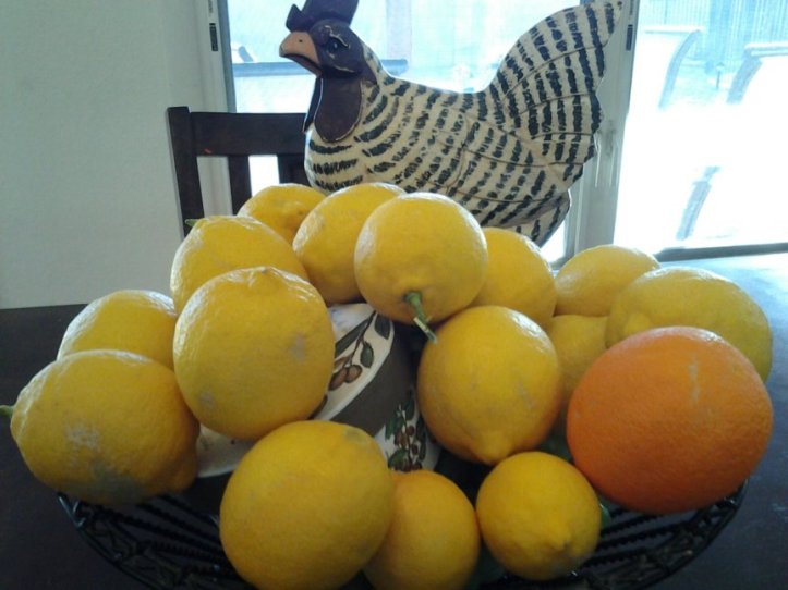 wpid-20140127_162257