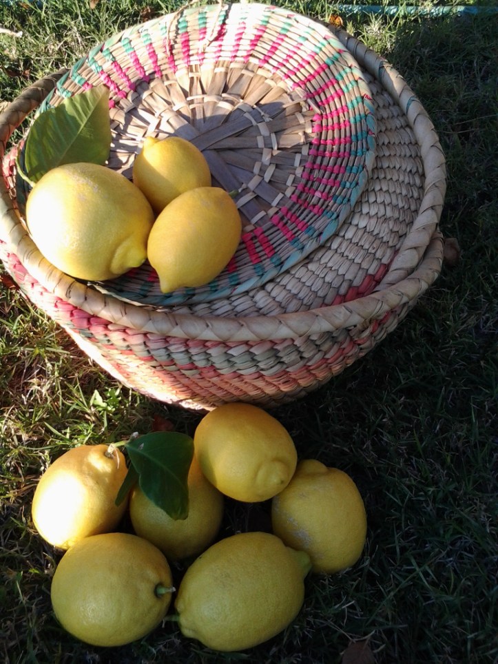 wpid-20150115_164719