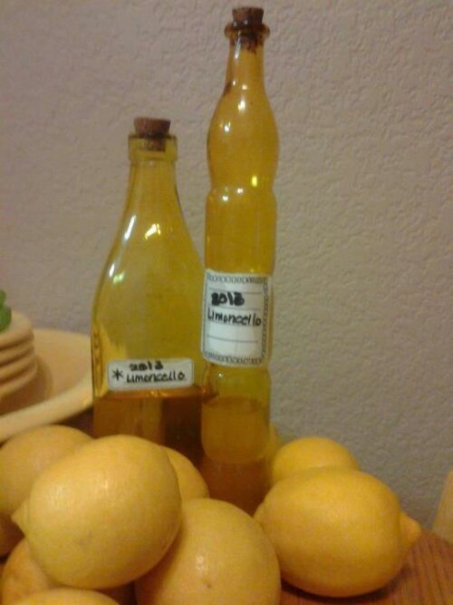 wpid-482238_10151363610163031_468843014_n