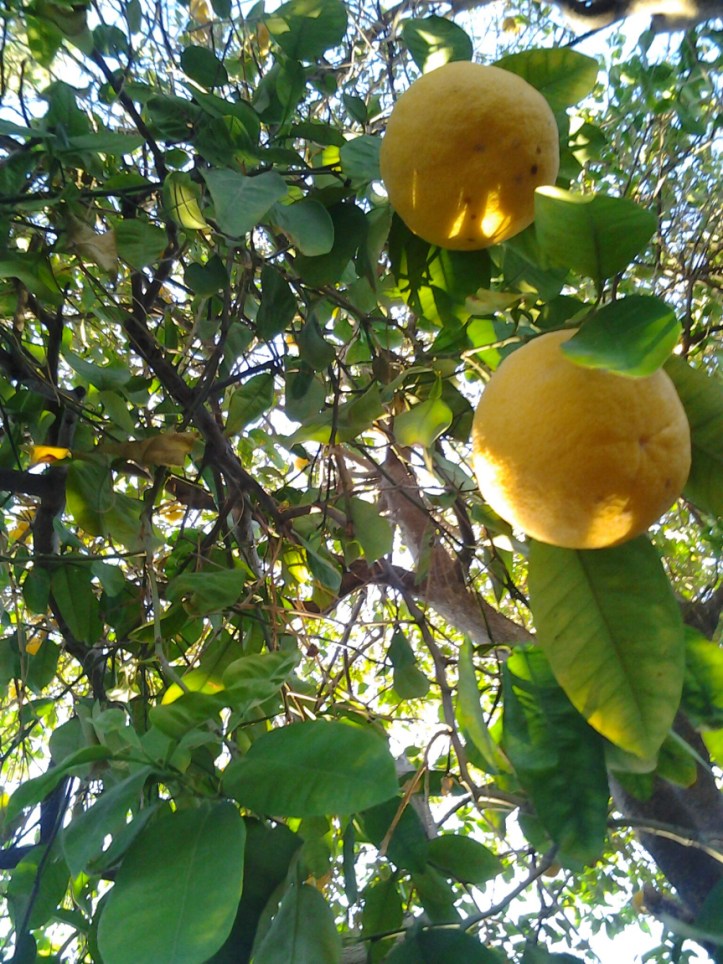 wpid-picsart_1398090256401