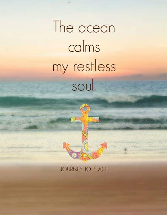 14449916_1193645093992346_4193596358700774442_n