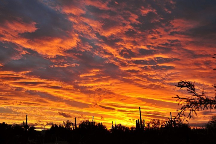 20100108131218_sunset