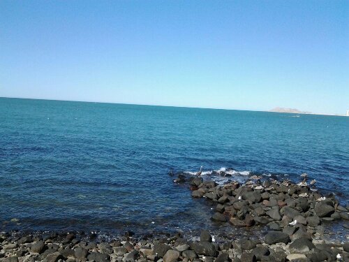 wpid-2013031095110950