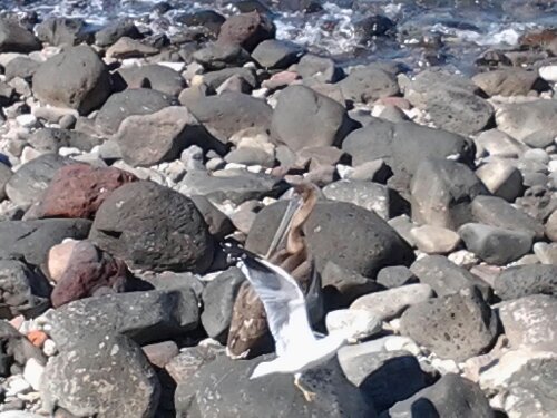 wpid-2013031095110958