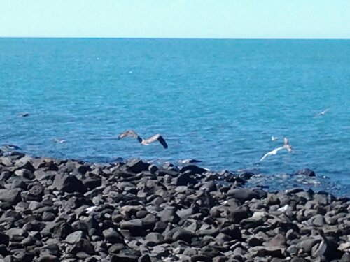 wpid-20130310_110927